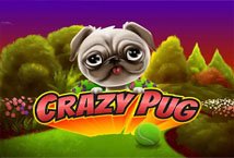 Crazy Pug slot